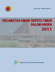 Kecamatan Amabi Oefeto Timur Dalam Angka 2011