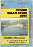 Kupang Dalam Angka 2002